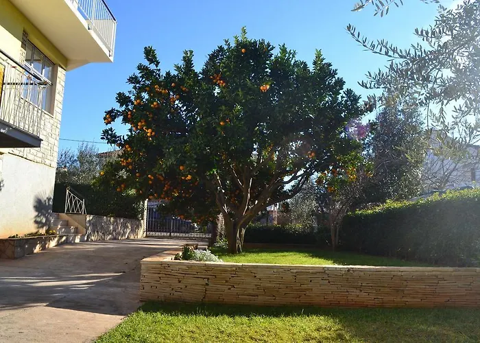 Angie Appartamento Zara