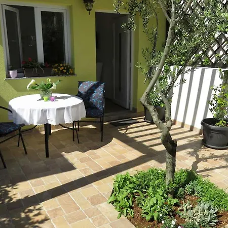 Angie * Ζαντάρ