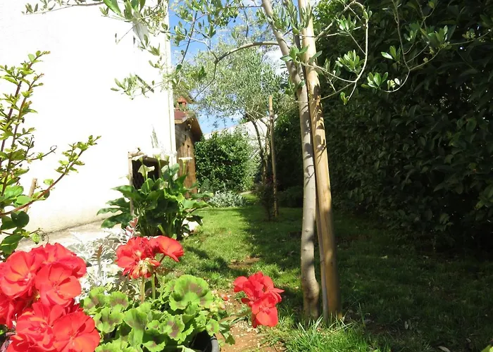 Angie Appartamento *