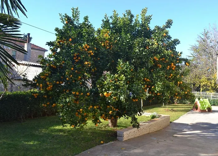 Appartamento Angie *